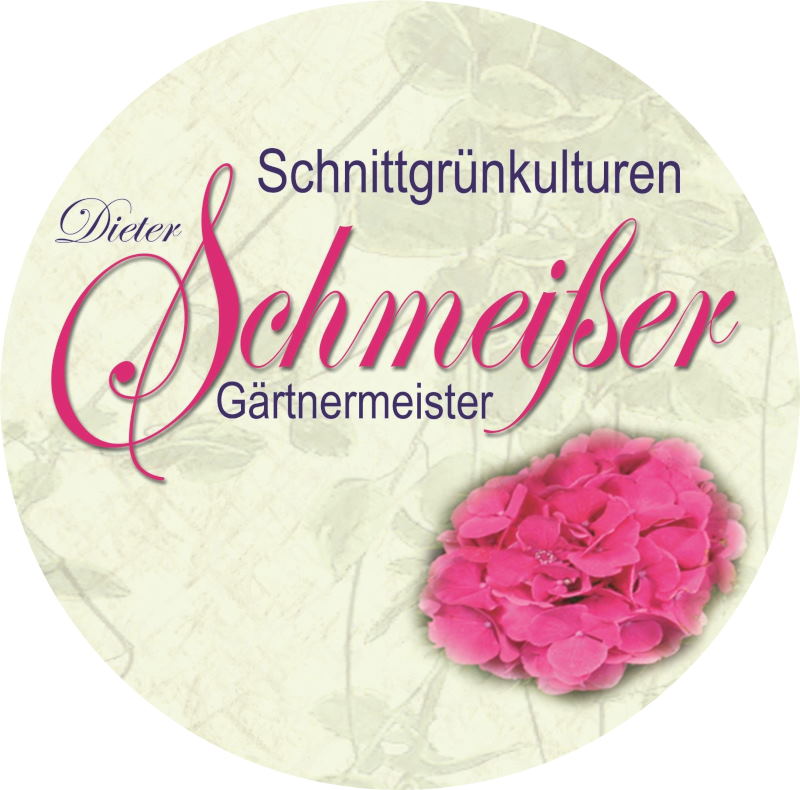 2019 01 18 Logo Schmeißer 01