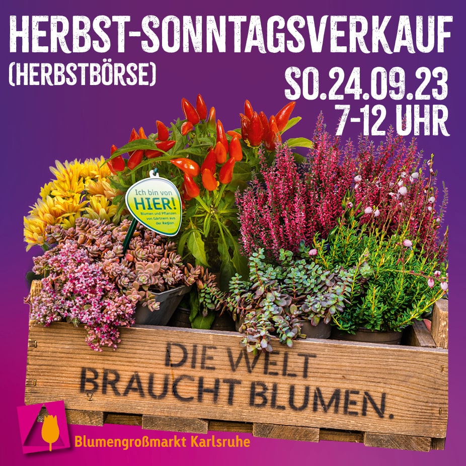 Herbstboerse 23 quadrat SM min
