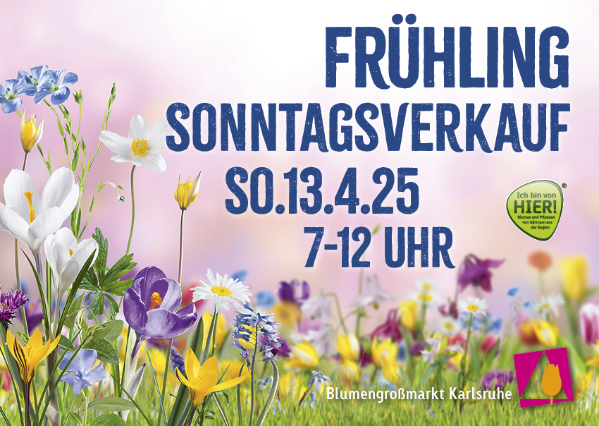 fruehjahrsbörse A2A1 2025 01